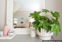 How Podcast Episode 149 Turned Me Into a Plant Lady