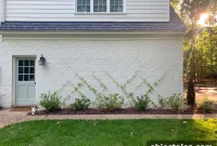 Build a DIY Garden Trellis: Step-by-Step Guide