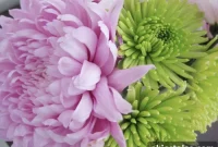 March Flower Mix: Affordable Spring Bouquet Ideas