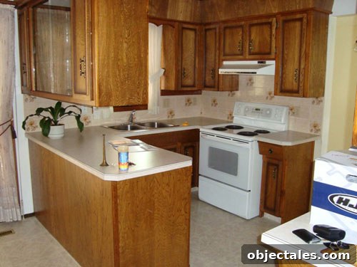 scary-bad-ugly-kitchen-before-picture