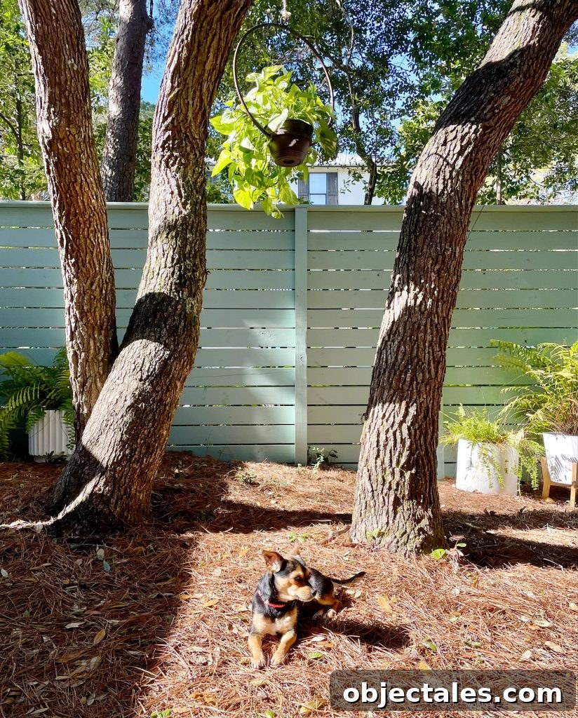 Meet Penny Petersik: DIY Home Decor Ideas and Tips 12 Small dog relaxing in yard under oak trees