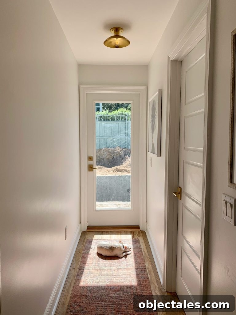 Meet Penny Petersik: DIY Home Decor Ideas and Tips 3 Tan chihuahua laying in sun spot on rug