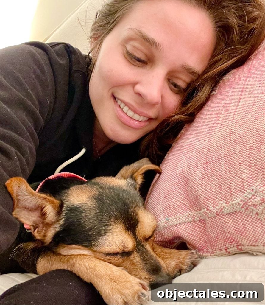 Meet Penny Petersik: DIY Home Decor Ideas and Tips 6 Penny the dog sleeping next to Sherry on pillow