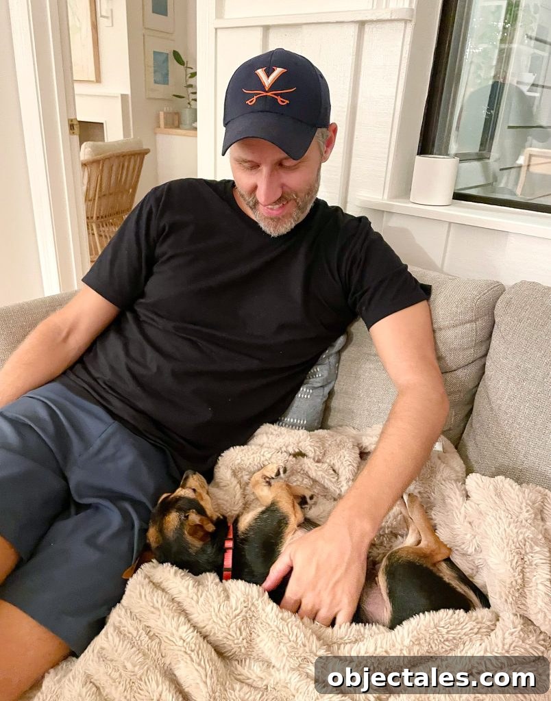 Meet Penny Petersik: DIY Home Decor Ideas and Tips 9 Chorkie mix snuggled in blanket next to John on loveseat