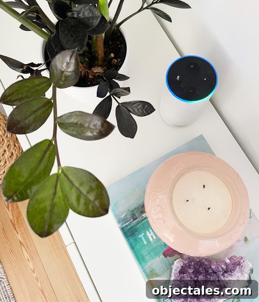 Install Smart Motorized Blinds: Step-by-Step Guide 17 Amazon Echo Alexa Device On Table Next To Plant