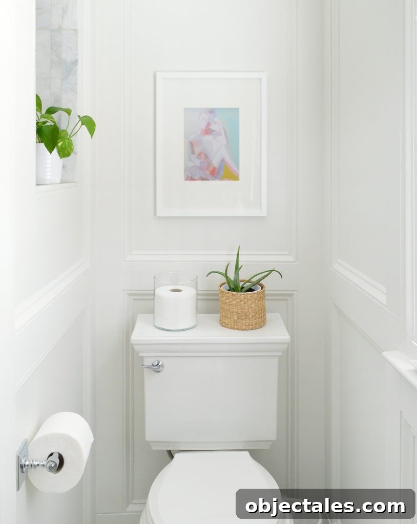Which Toilet We Recommend: Our Favorite Model Revealed 4 Kohler Memoirs Stately Toilet Detail In Traditional Bathroom with Wall Molding