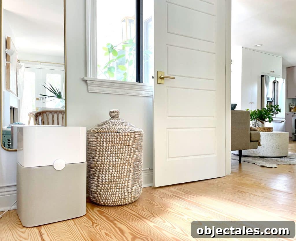 How to Choose a Home Air Purifier for Cleaner Indoor Air 4 BlueAir Blue air purifier in bedroom next to door to kitchen