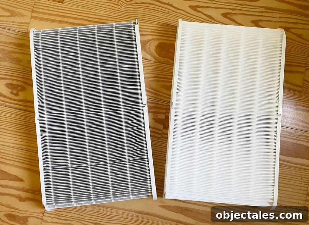 How to Choose a Home Air Purifier for Cleaner Indoor Air 7 Blueair Blue 211 filter before and after