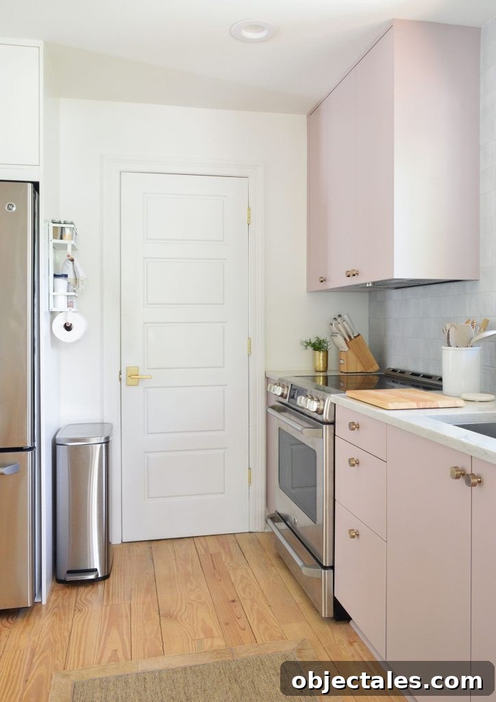 Small IKEA Kitchen Storage and Organization Ideas 19 Mauve Ikea Kitchen Cabinets With Utility Closet Door Next To Stove