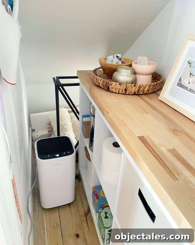 Utility Closet Storage Ideas to Maximize Space 15 Under Stair Storage In Utility Closet With Cubby Storage