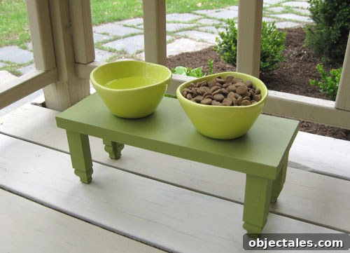 dog-feeding-station-food-and-water-outdoor
