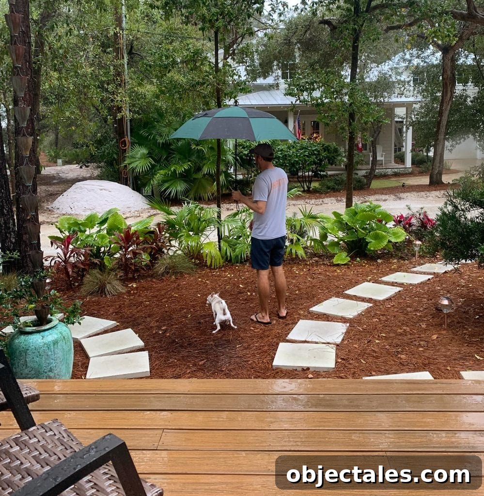 Add Outdoor Storage: Smart Shed, Cabinet, and Deck Ideas 17 Burger Dog Peeing In Front Yard With John Holding Umbrella