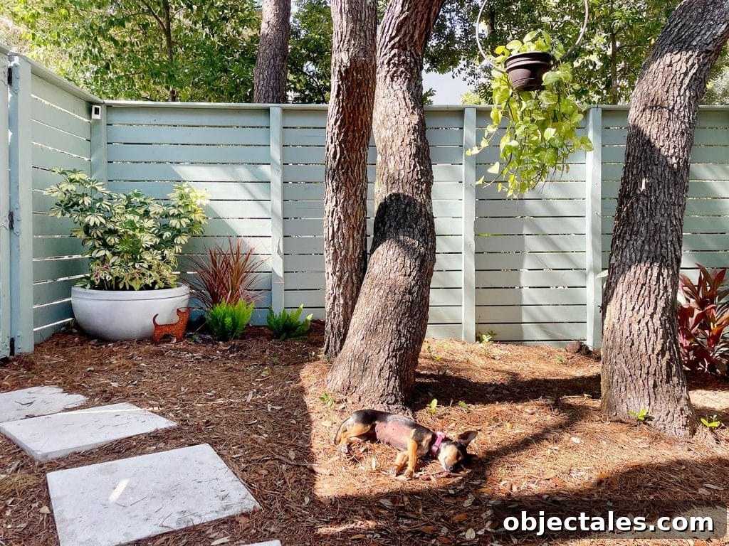 Add Outdoor Storage: Smart Shed, Cabinet, and Deck Ideas 19 Penny The Chorkie Dog Sleeping At The Base Of Tree In Side Yard