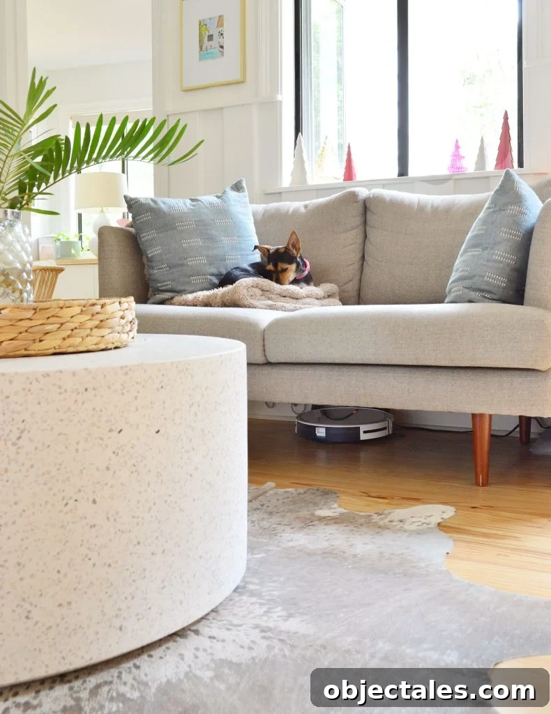 Eufy RoboVac 11S Charging Under Couch In Living Room With Dog