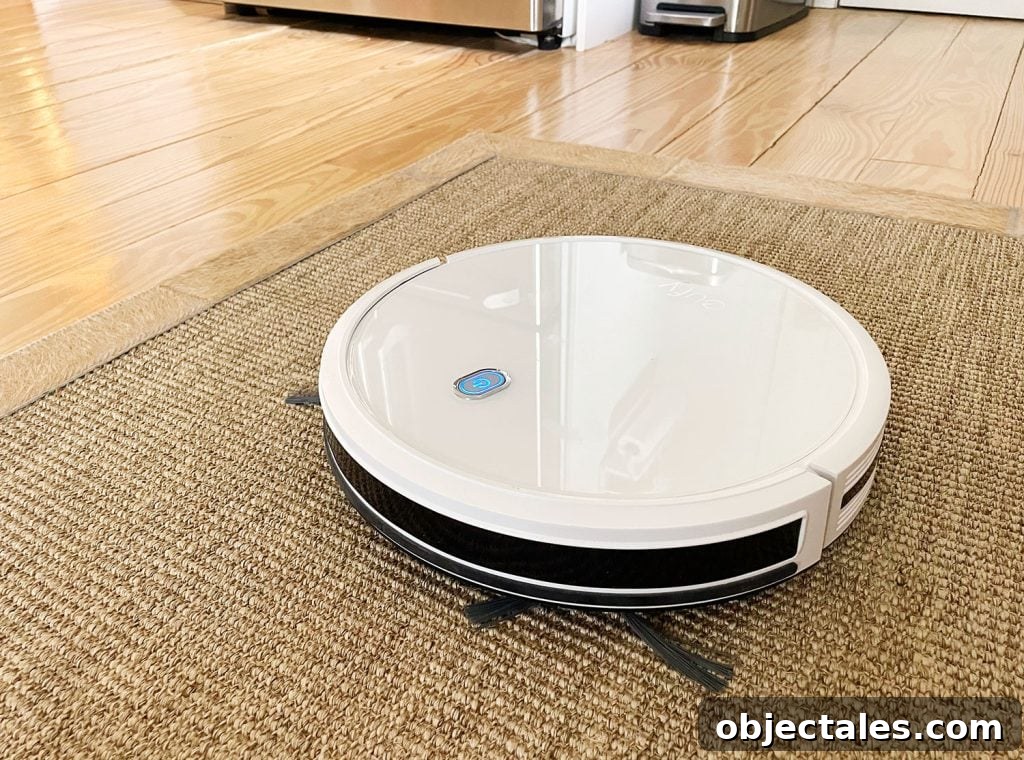 Eufy RoboVac 11S On Jute Runner With Side Whiskers Out