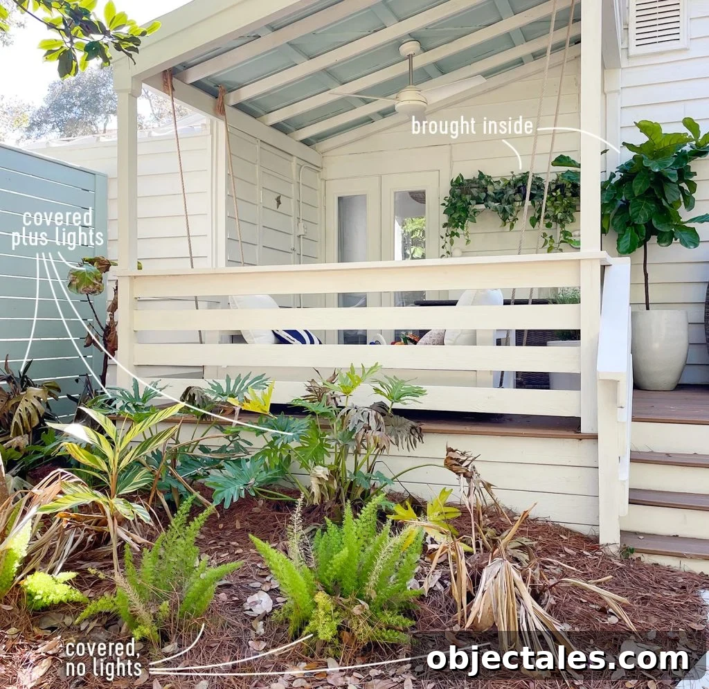 Picture Of Front Porch With Labels On What Lived And Died After Freezing
