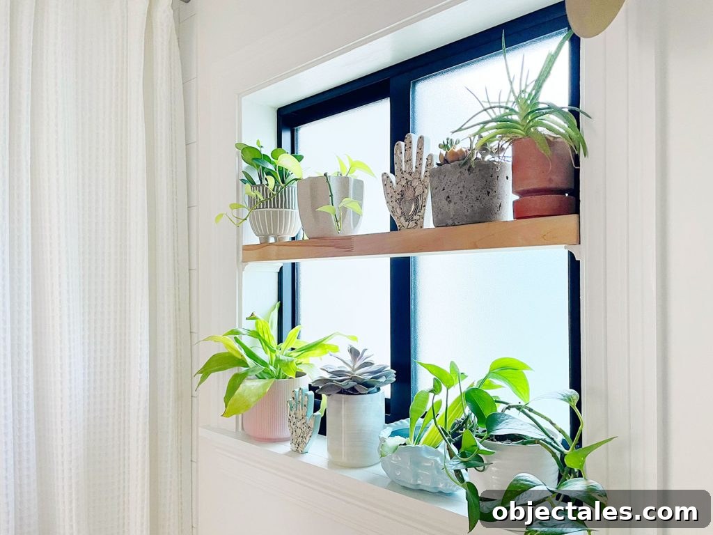 DIY Window Plant Shelf: Step-by-Step Tutorial 3 DIY window shelf with plants in pots in bathroom