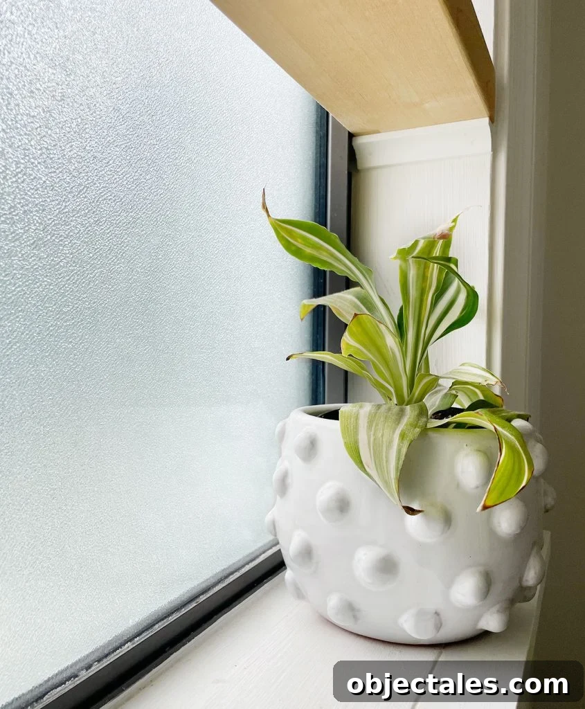 DIY Window Plant Shelf: Step-by-Step Tutorial 6 Detail of Frosted Glass In Bathroom Window With Plant And Floating Wood Shelf