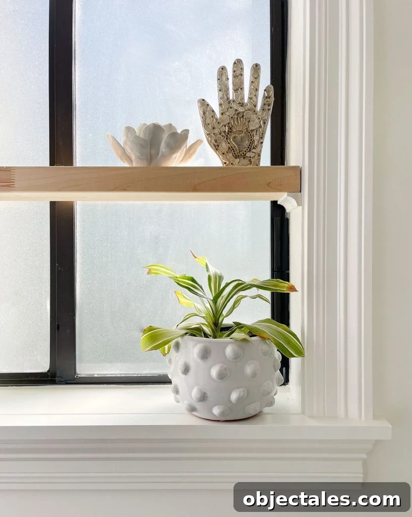 DIY Window Plant Shelf: Step-by-Step Tutorial 8 Floating Wood Shelf In Simple White Bathroom With Plants