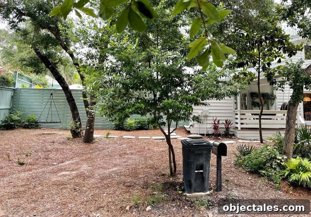Before photo of future driveway area of front of the house