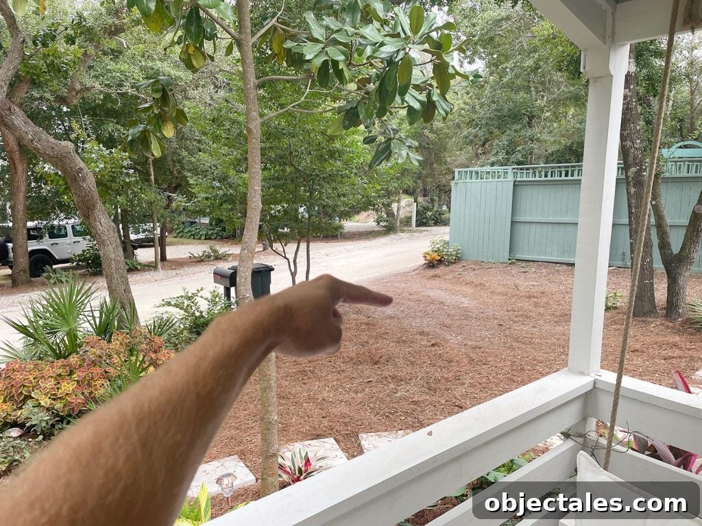 Poured Concrete Walkways and Driveway Installation Guide 8 Finger Pointing to Spot In Pine Straw For Car To Park
