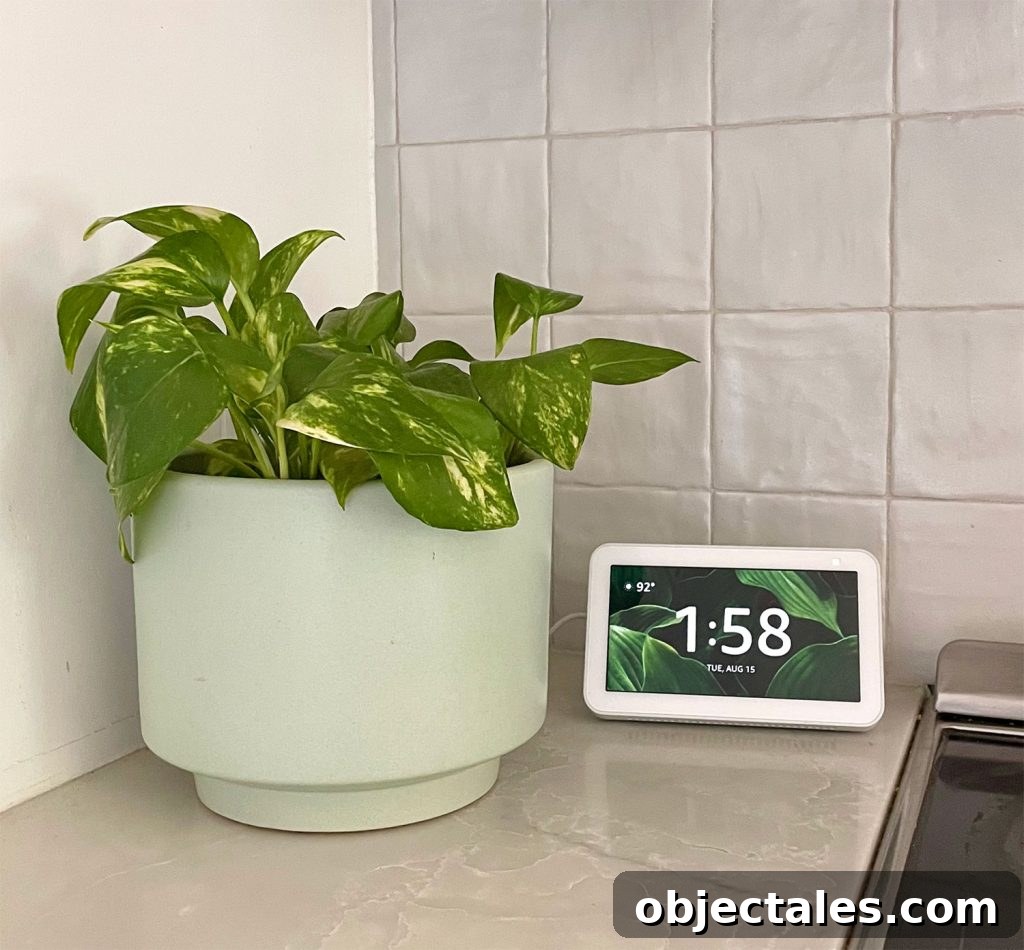 Episode 183: What's Next, House Vibes and an Embarrassing Moment 15 Amazon Echo Show 5 With Tropical Plant Clock Screensaver
