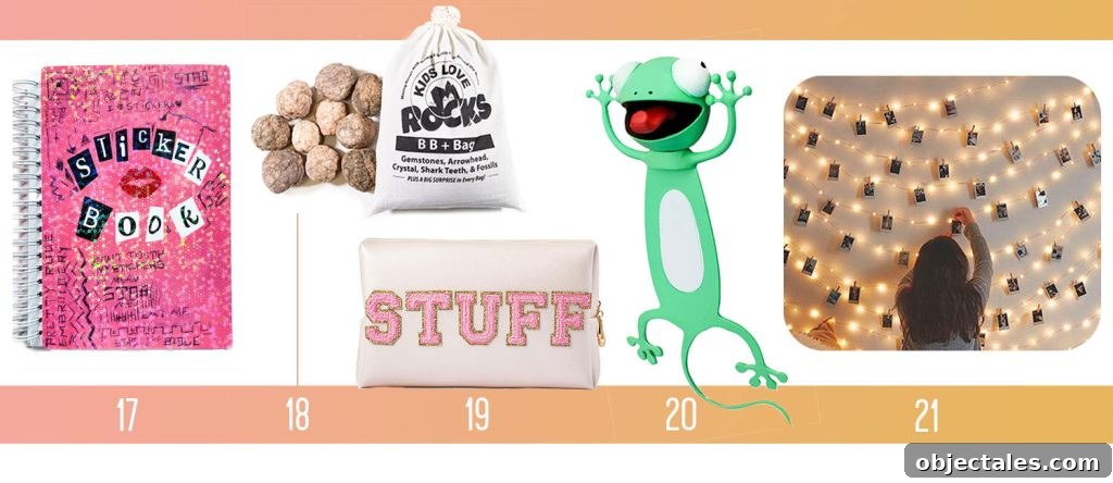 Holiday Gifts Ideas For Kids Teen Mean Girls Sticker Book Geode Breaking Kit Stuff Storage Animal Bookmark Lighted Photo Clips