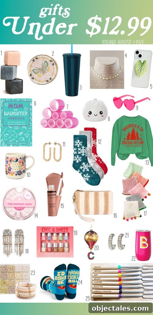 Holiday Gift Guide Affordable Ideas Under Thirteen Dollars