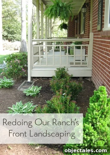 redoing-our-ranches-front-landscaping