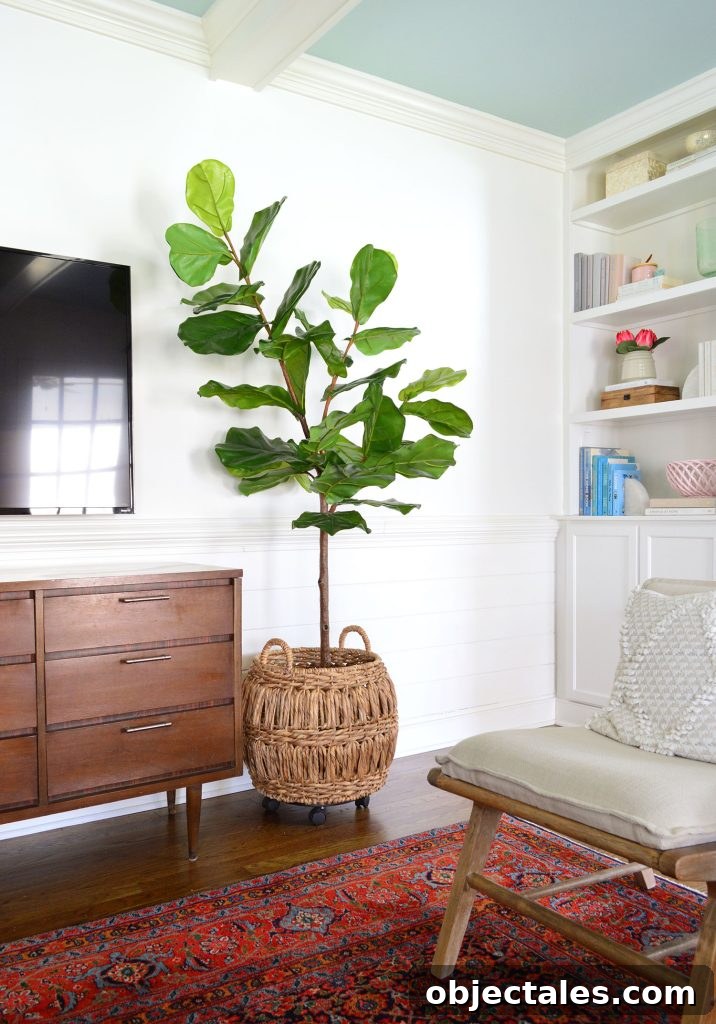 Living Room Benjamin Moore Simply White Walls And Beams With Faux Fig Tree