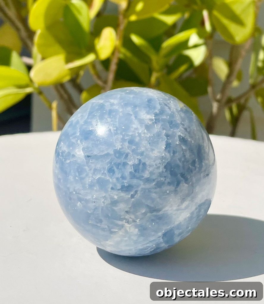 Blue Calcite Crystal: Meaning, Properties and Uses 4 Blue Calcite Sphere With Plant
