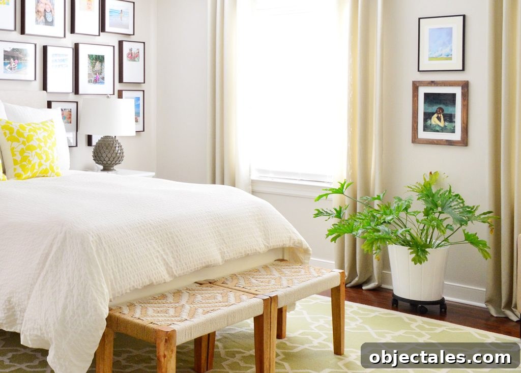 Tree Philodendron Selloum In Corner Of Bedroom