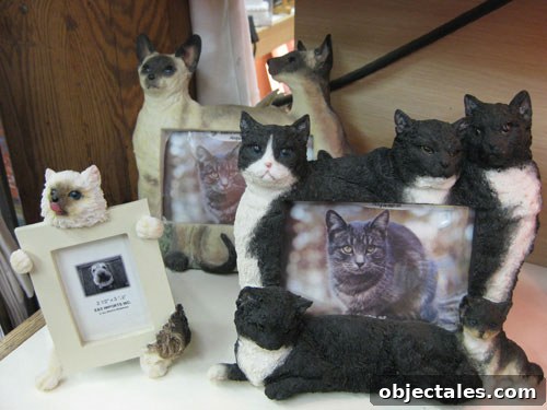 gag-cat-gift-frame