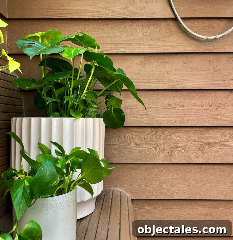 How We Used Solid Stain on Our Outdoor Shower 13 img 113984 14