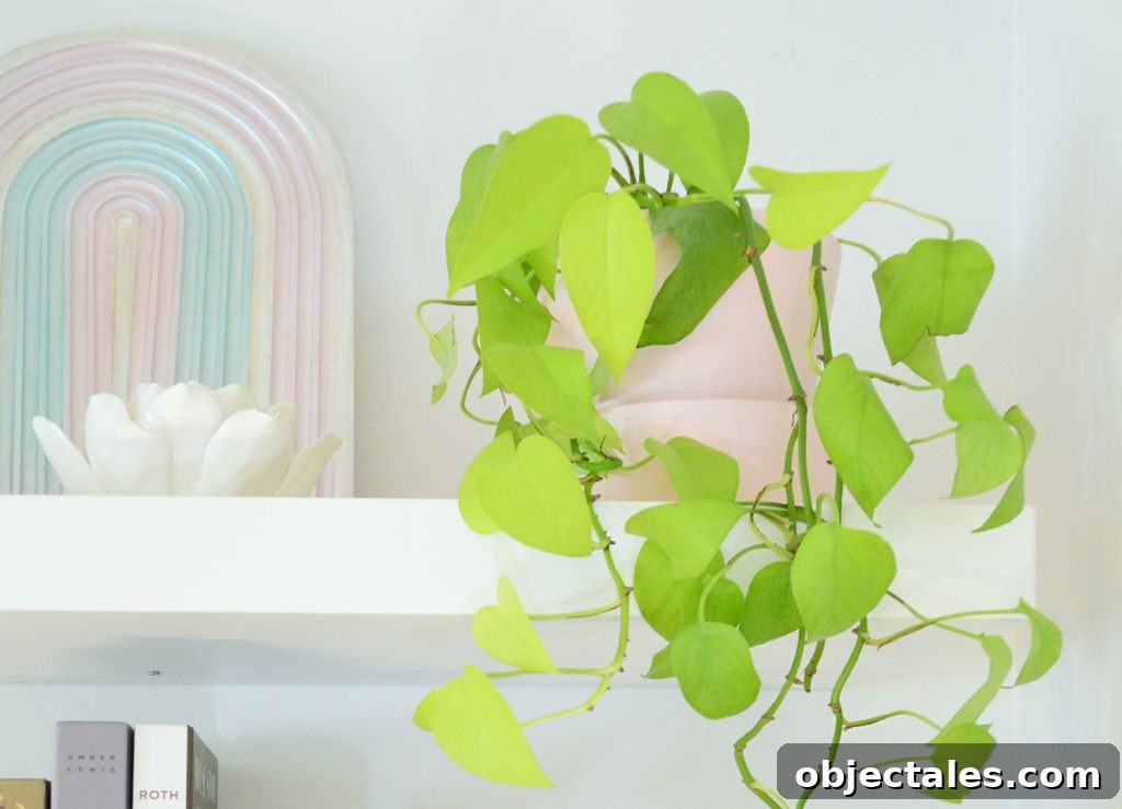 Neon Pothos Care Guide: Light, Watering and Growth Tips 5 Neon Pothos Houseplant Next To Rainbow Art