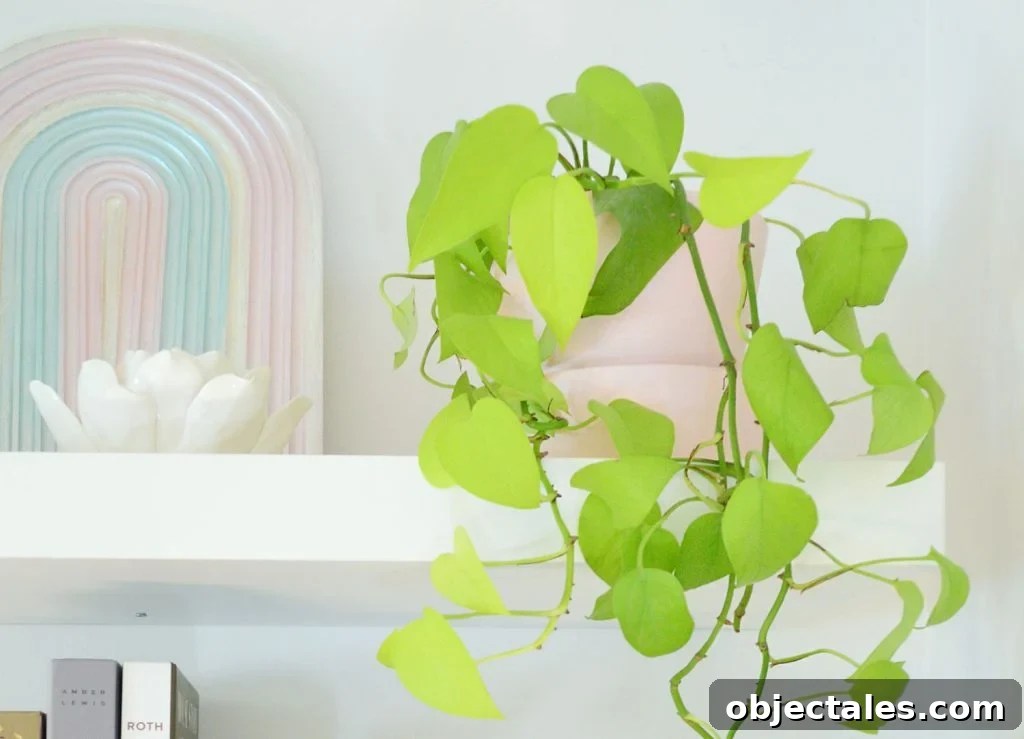 Neon Pothos Houseplant Next To Rainbow Art