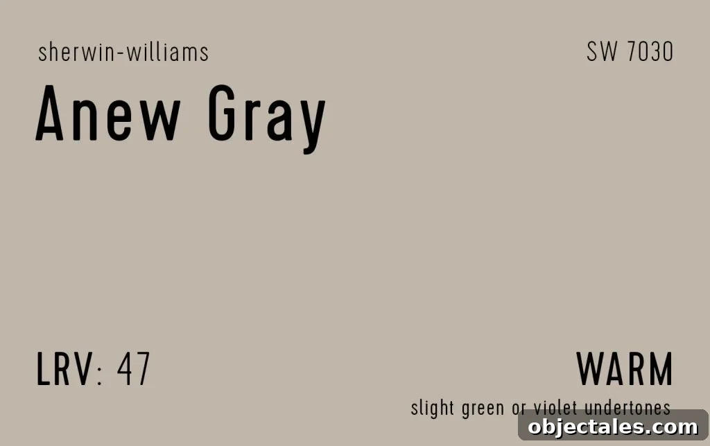 Sherwin-Williams Anew Gray Information Swatch
