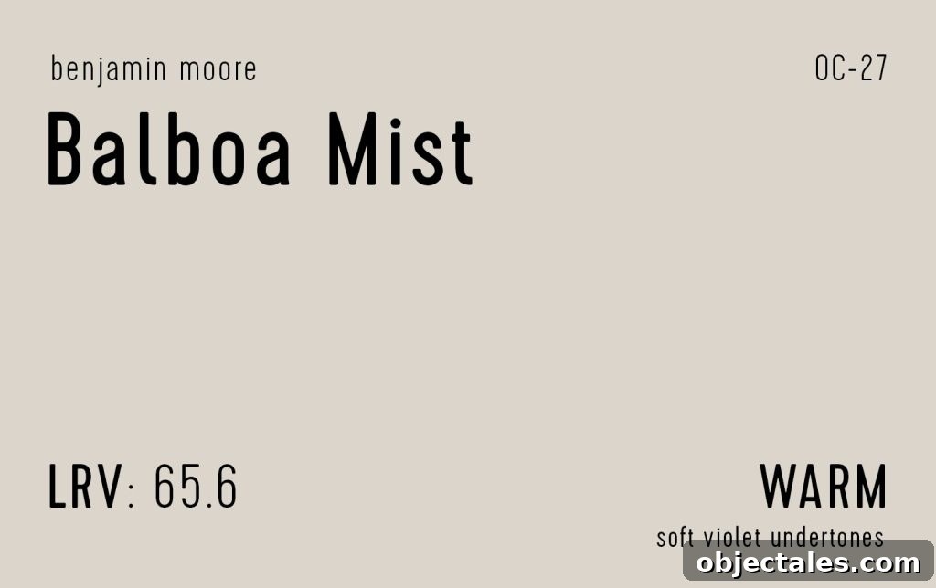 Benjamin Moore Balboa Mist Information Swatch
