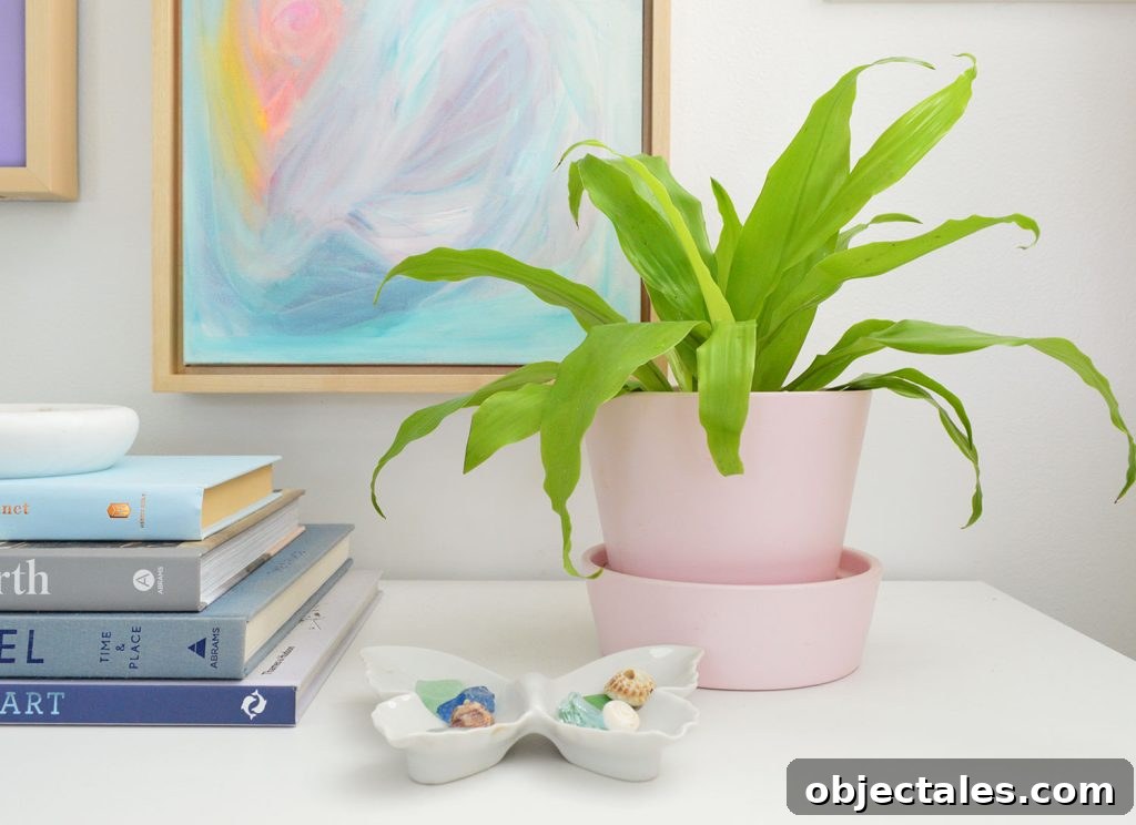 Limelight Corn Plant In Pink Pot