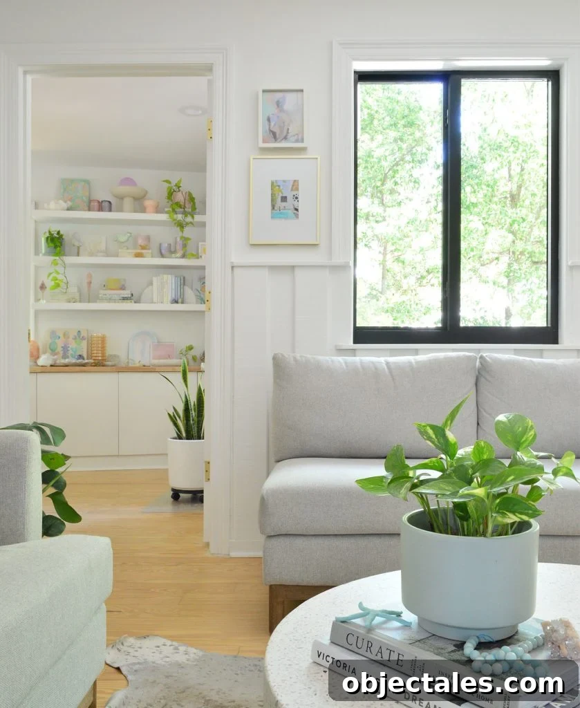 Houseplants In Living Area Without Much Sunlight Pothos Snake Plant