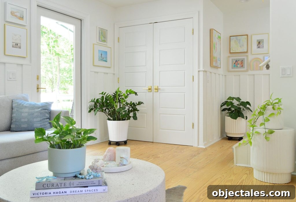 Houseplants On Surfaces In Low Light Sitting Area Pothos Monstera ZZ Plant