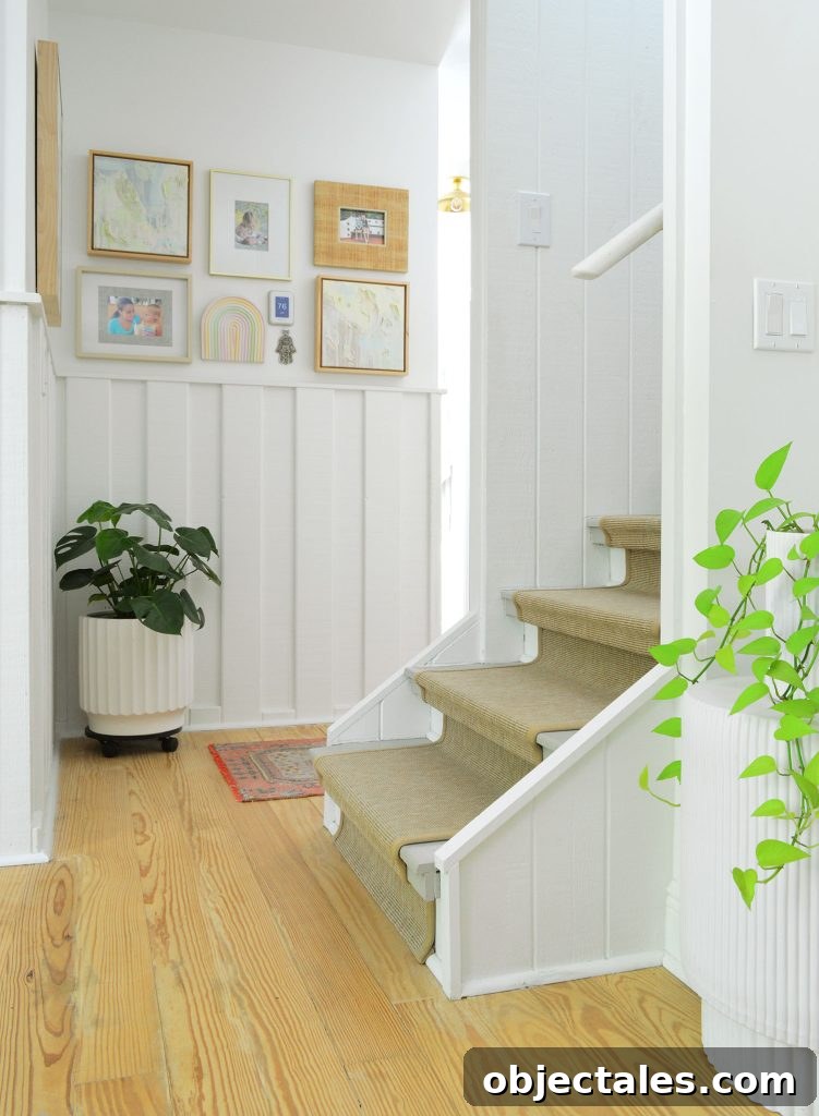 Monstera And Pothos In Low Light Hallway