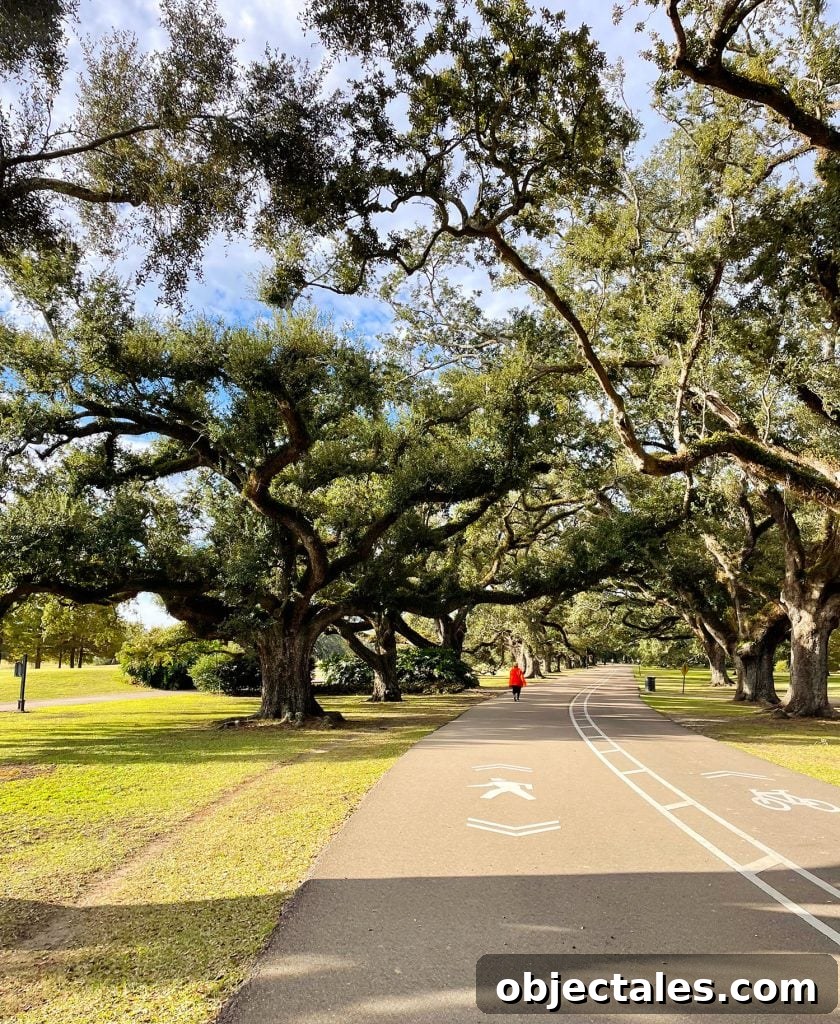 Family Weekend in New Orleans: Kid-Friendly Things to Do 14 Paved Bike Walking Path In Audubon Park New Orleans