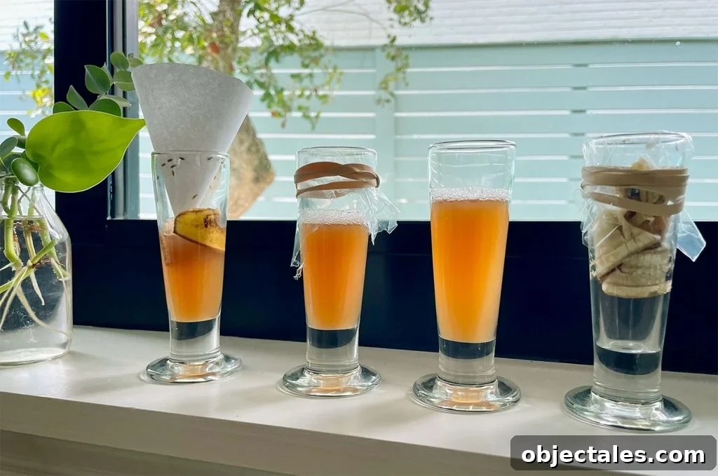 4 DIY Fruit Fly Traps Tested On Windowsill