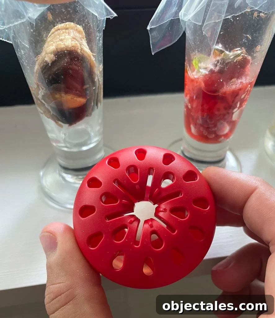 Terro Fruit Fly Apple Trap With No Fruit Flies In It