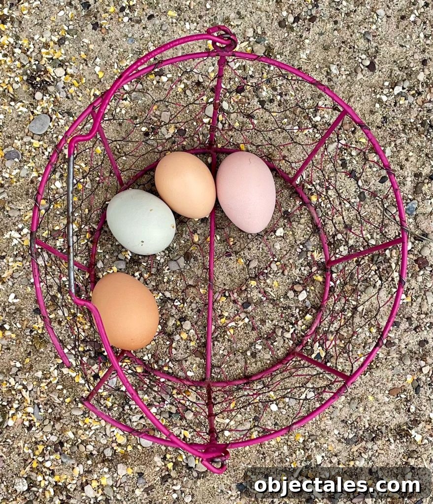 Basket of multicolored eggs collected on farm