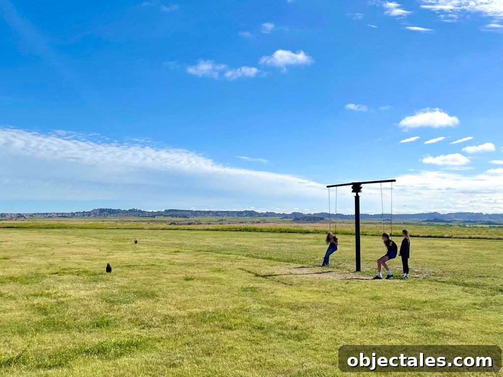 Kids Playing On Swing At Ranch Badlands National Park South Dakota