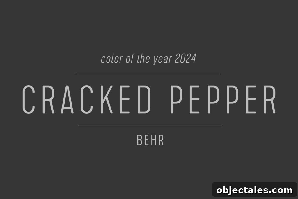 Color Swatch of Behr Color Of The Year 2024 Cracked Pepper