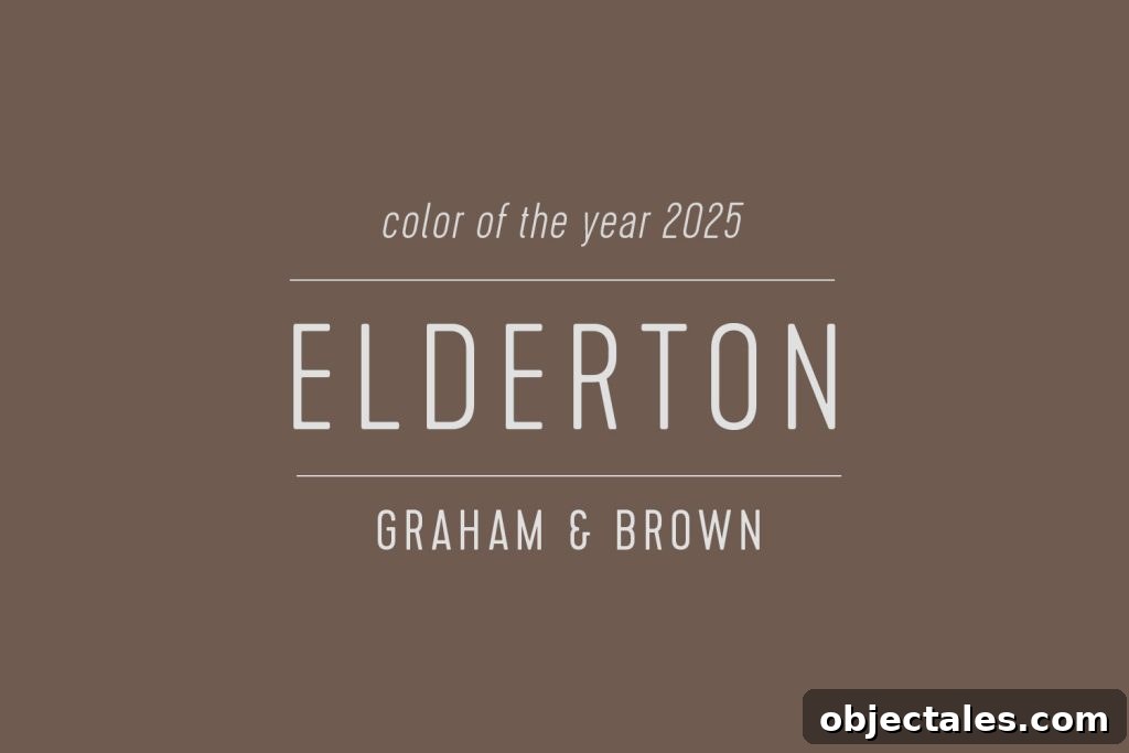 Swatch of Elderton Graham & Brown Color Of The Year 2025