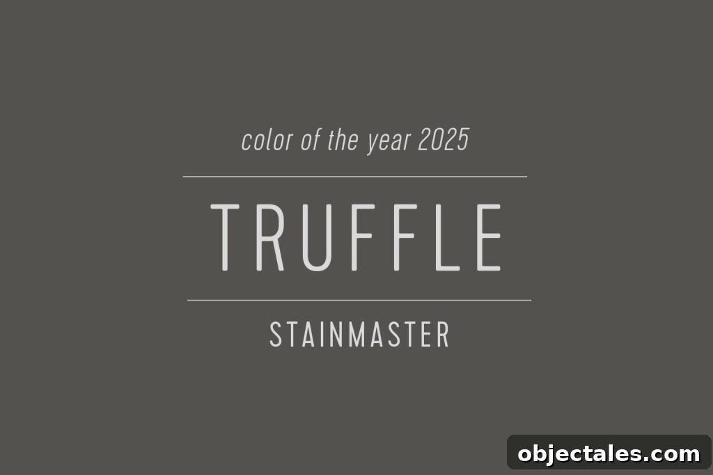 Stainmaster Paint Color of the Year 2025 Truffle